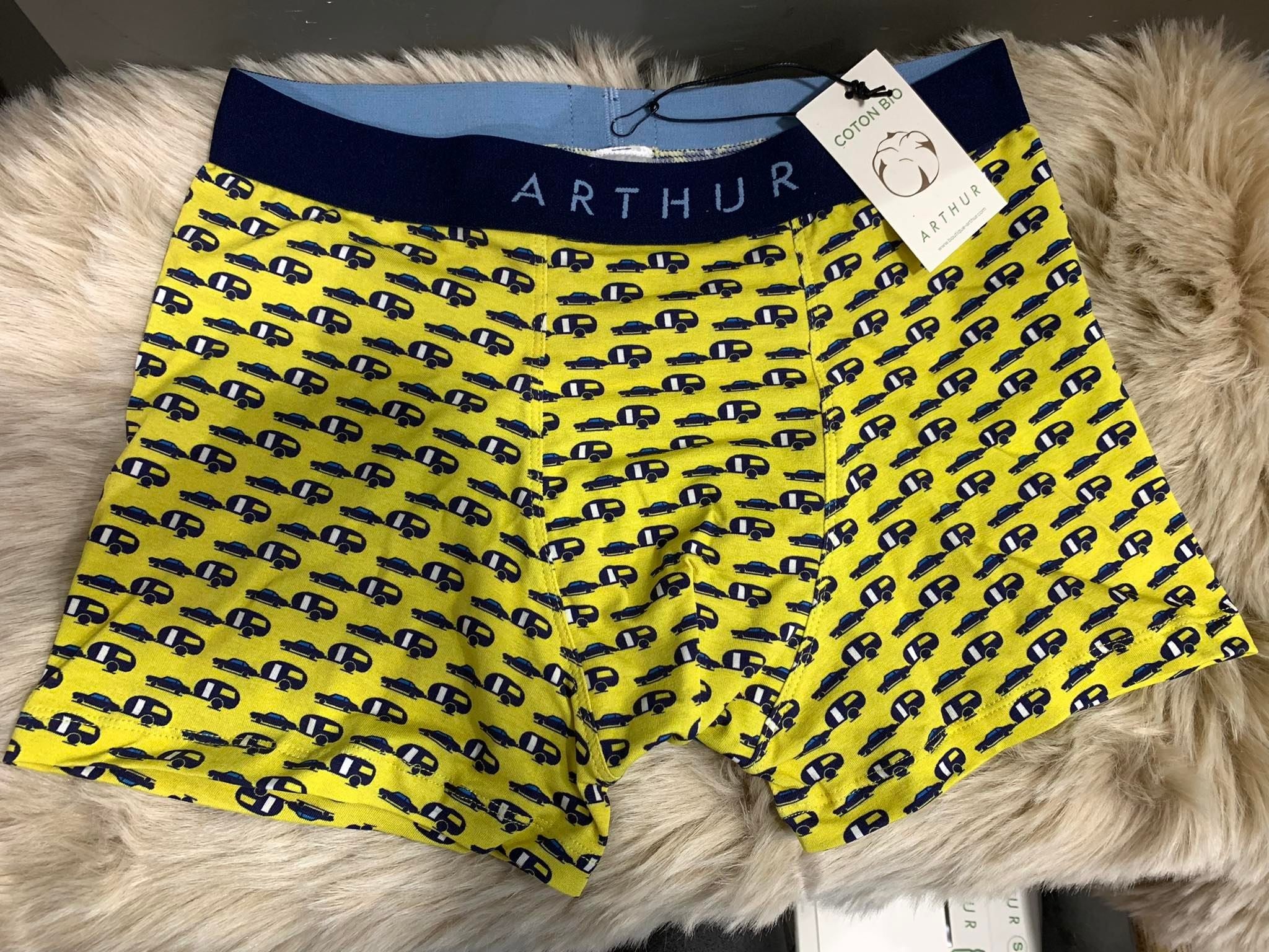 Boxer Arthur