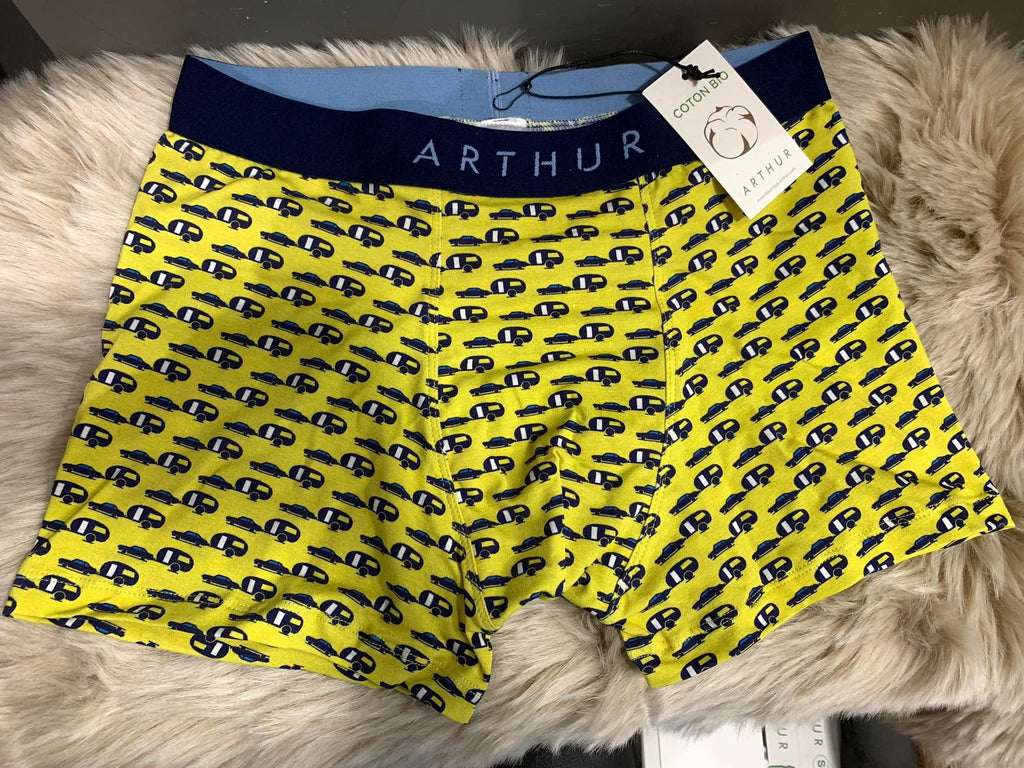 Boxer Arthur