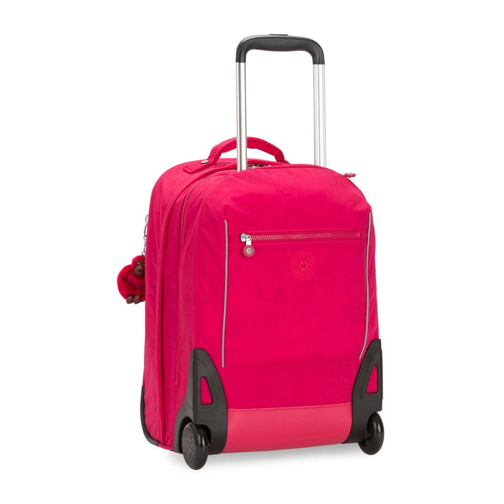 Trolley Sari
