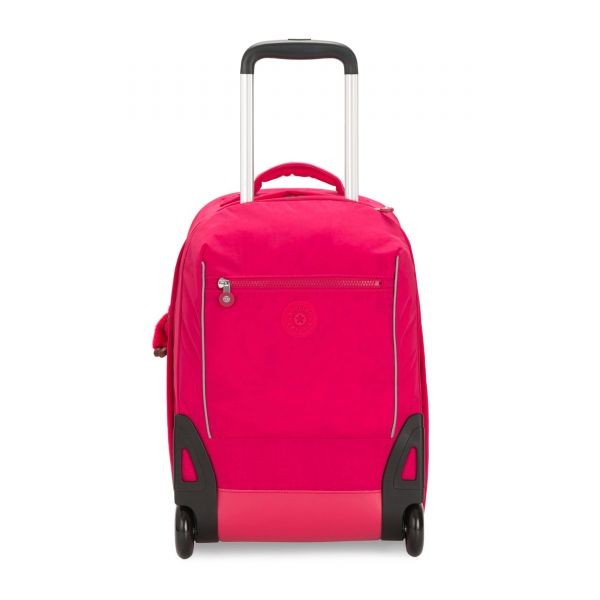 Trolley Sari