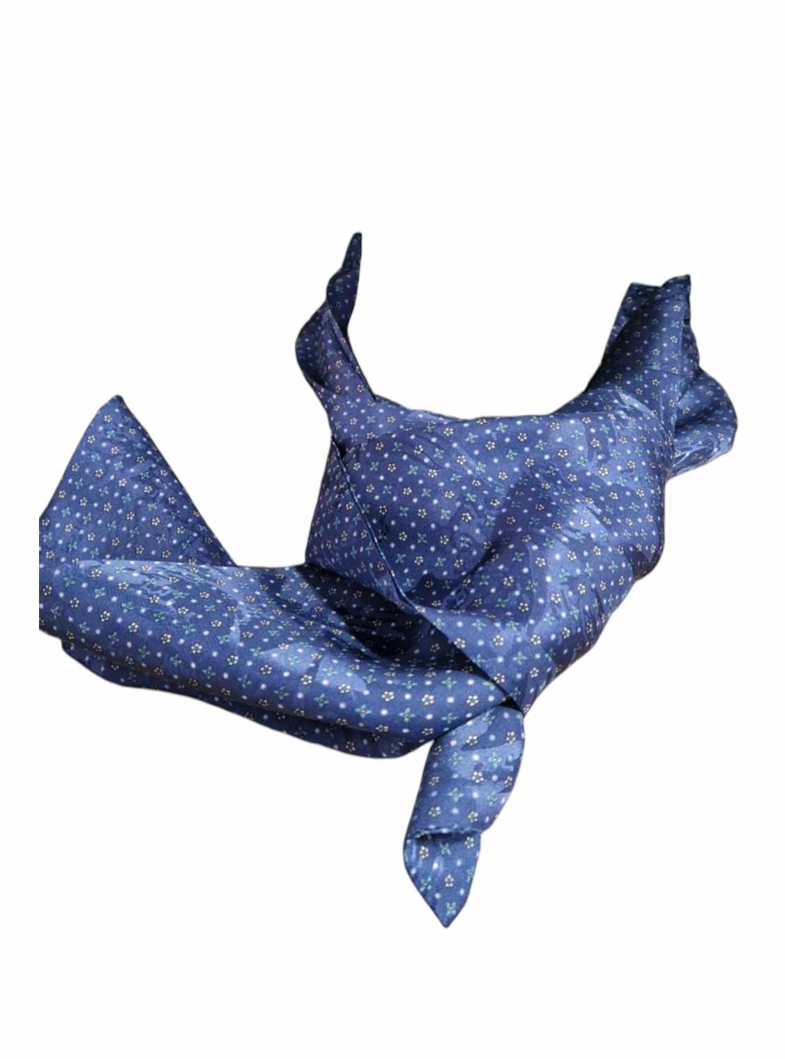 Cravate De Morteuil
