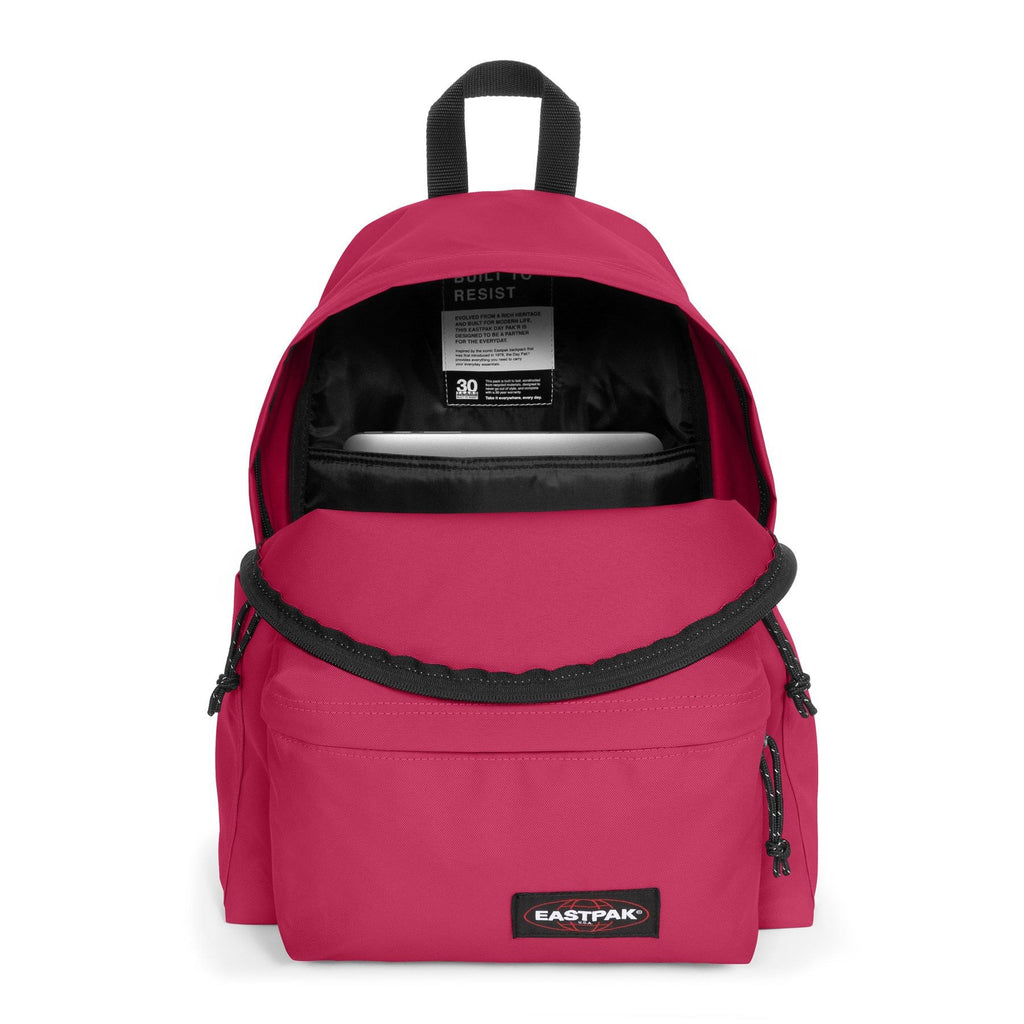 Day Pak'r Cerise Pink (rose)