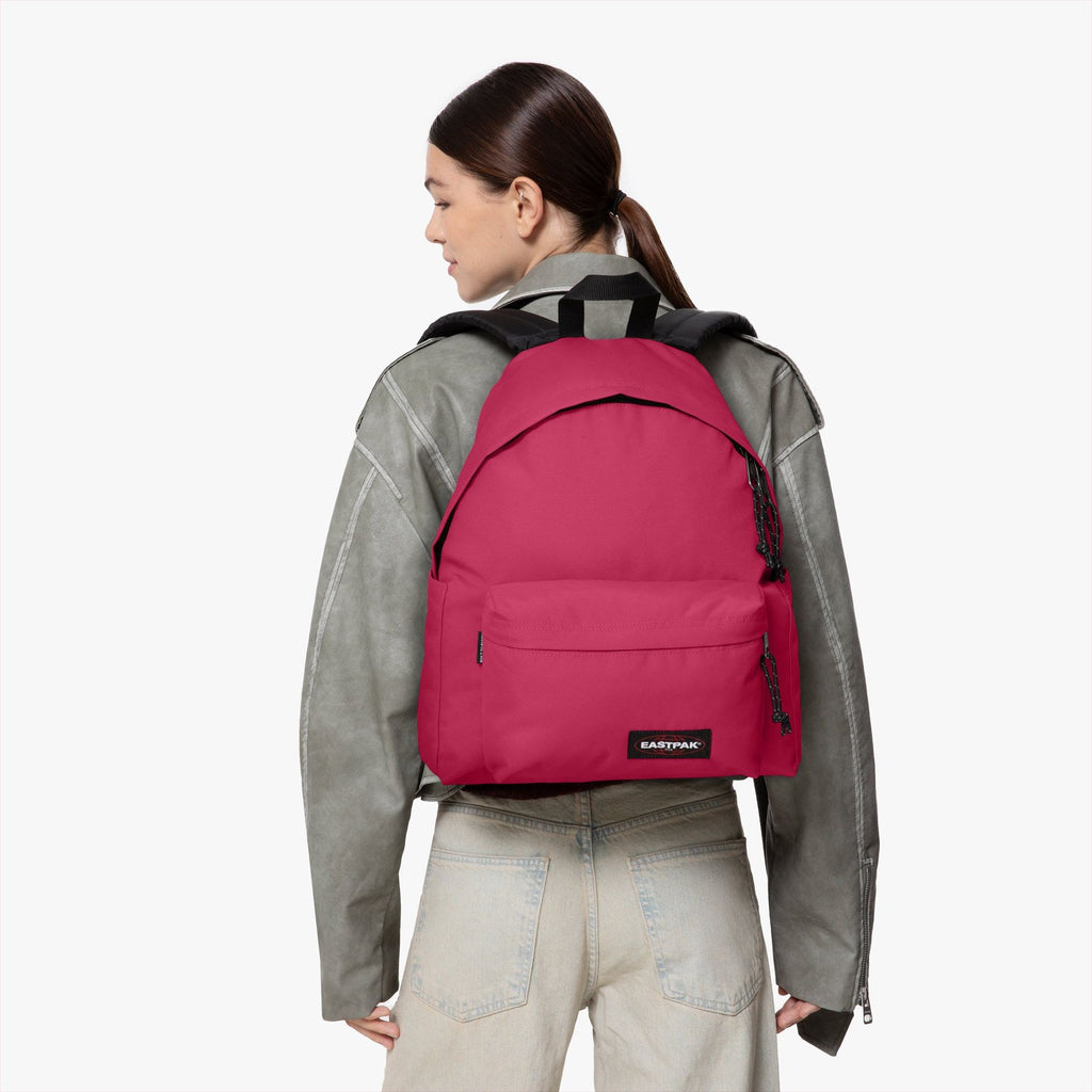 Day Pak'r Cerise Pink (rose)
