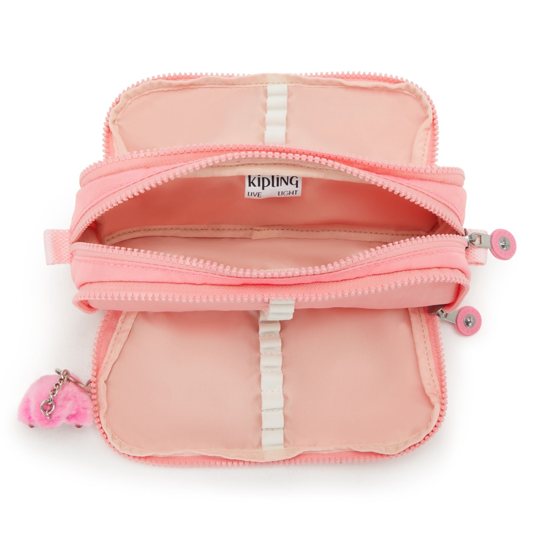 Plumier Gitroy