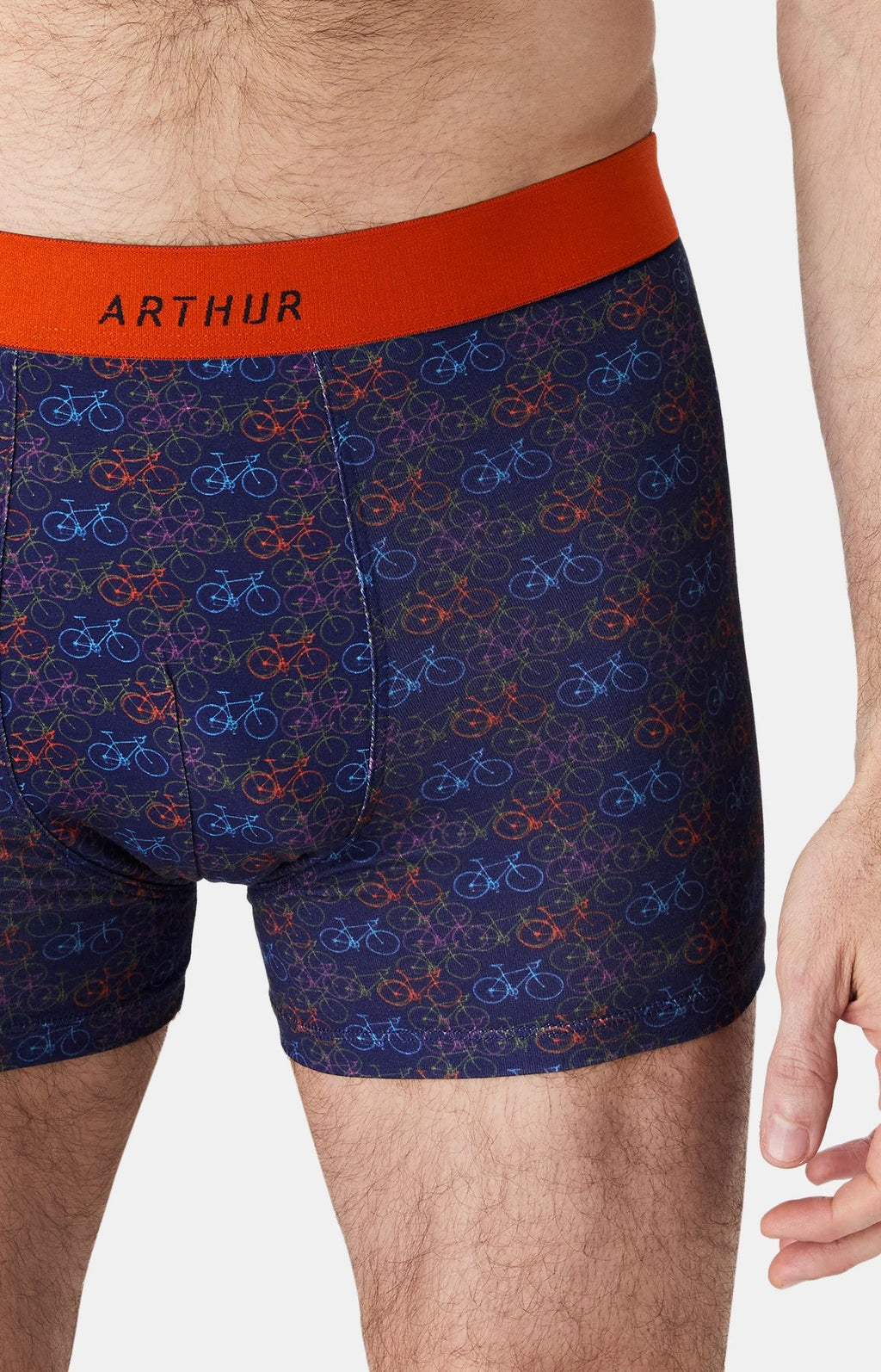 Boxer Arthur