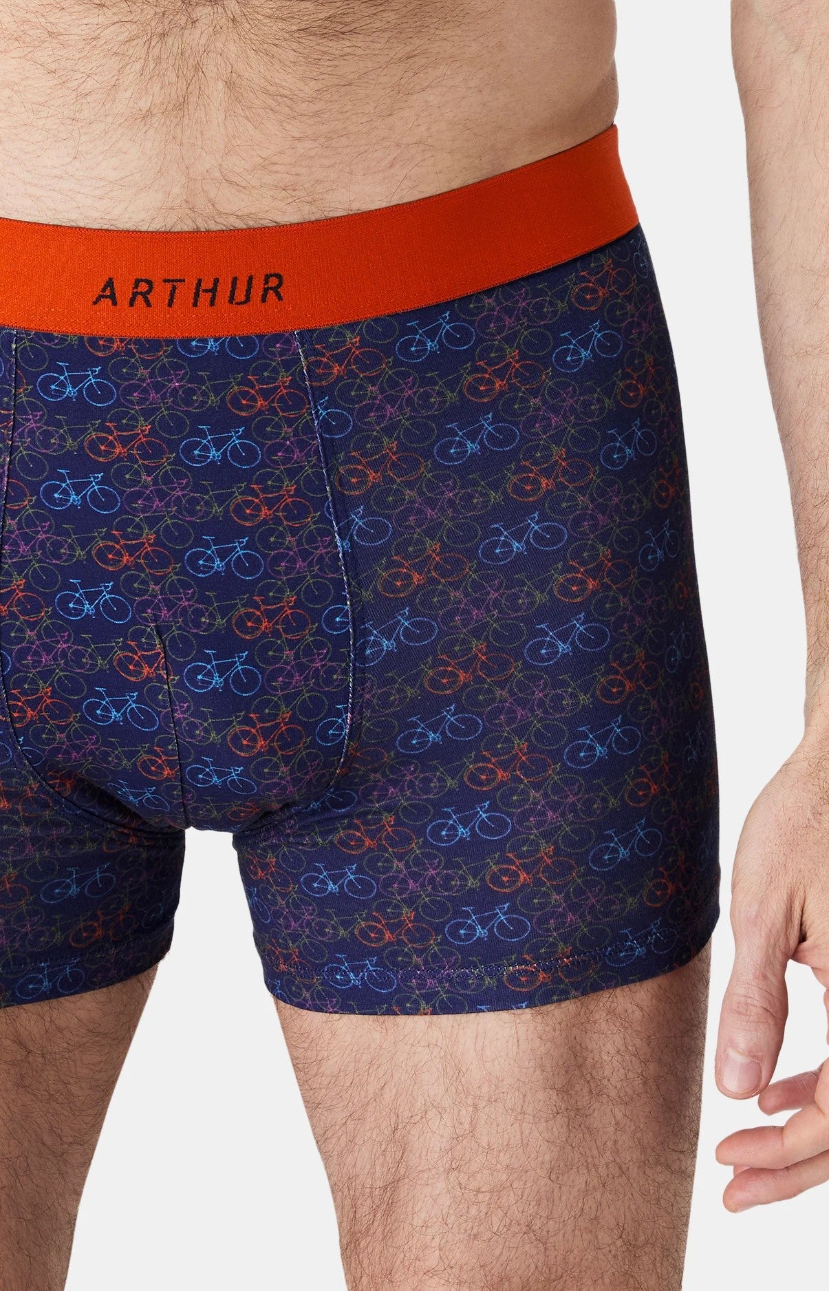 Boxer Arthur