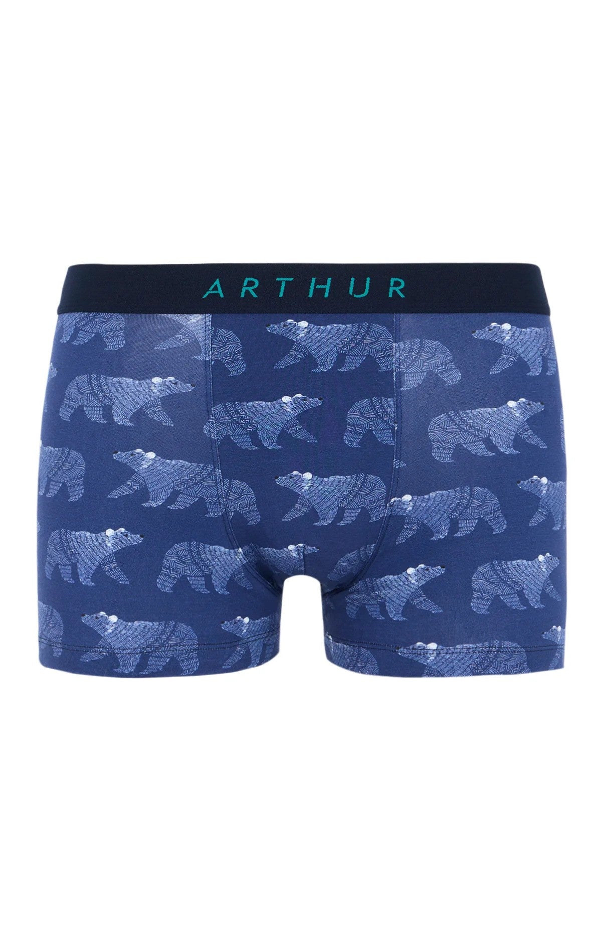 Boxer Arthur
