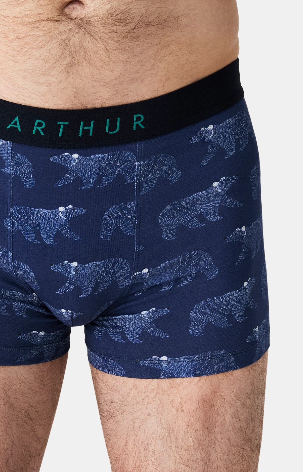 Boxer Arthur