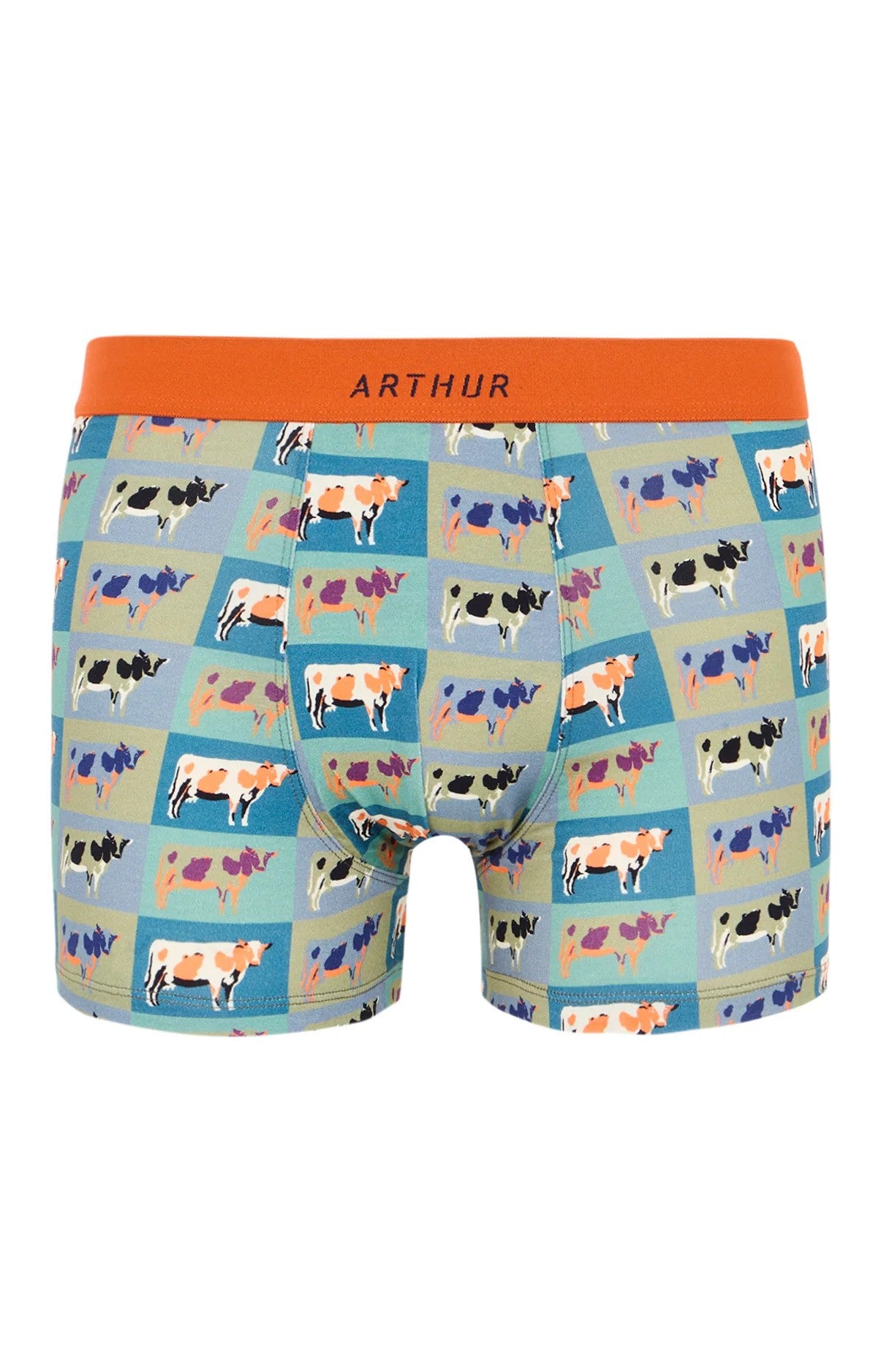 Boxer Arthur