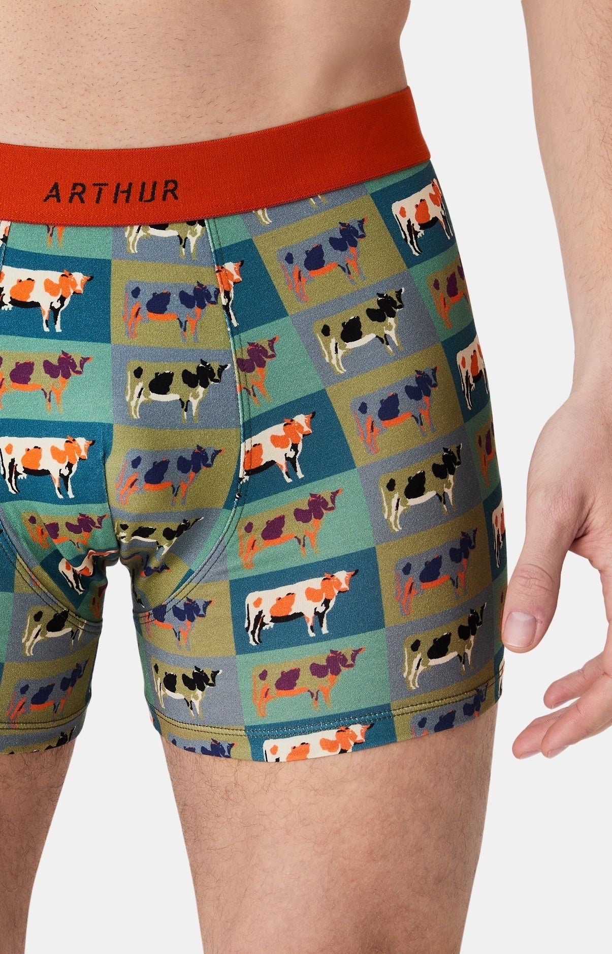 Boxer Arthur
