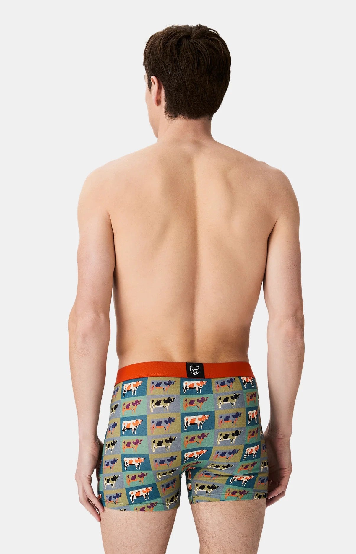 Boxer Arthur