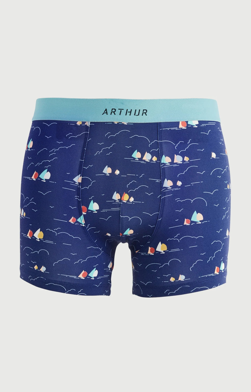 Boxer Arthur