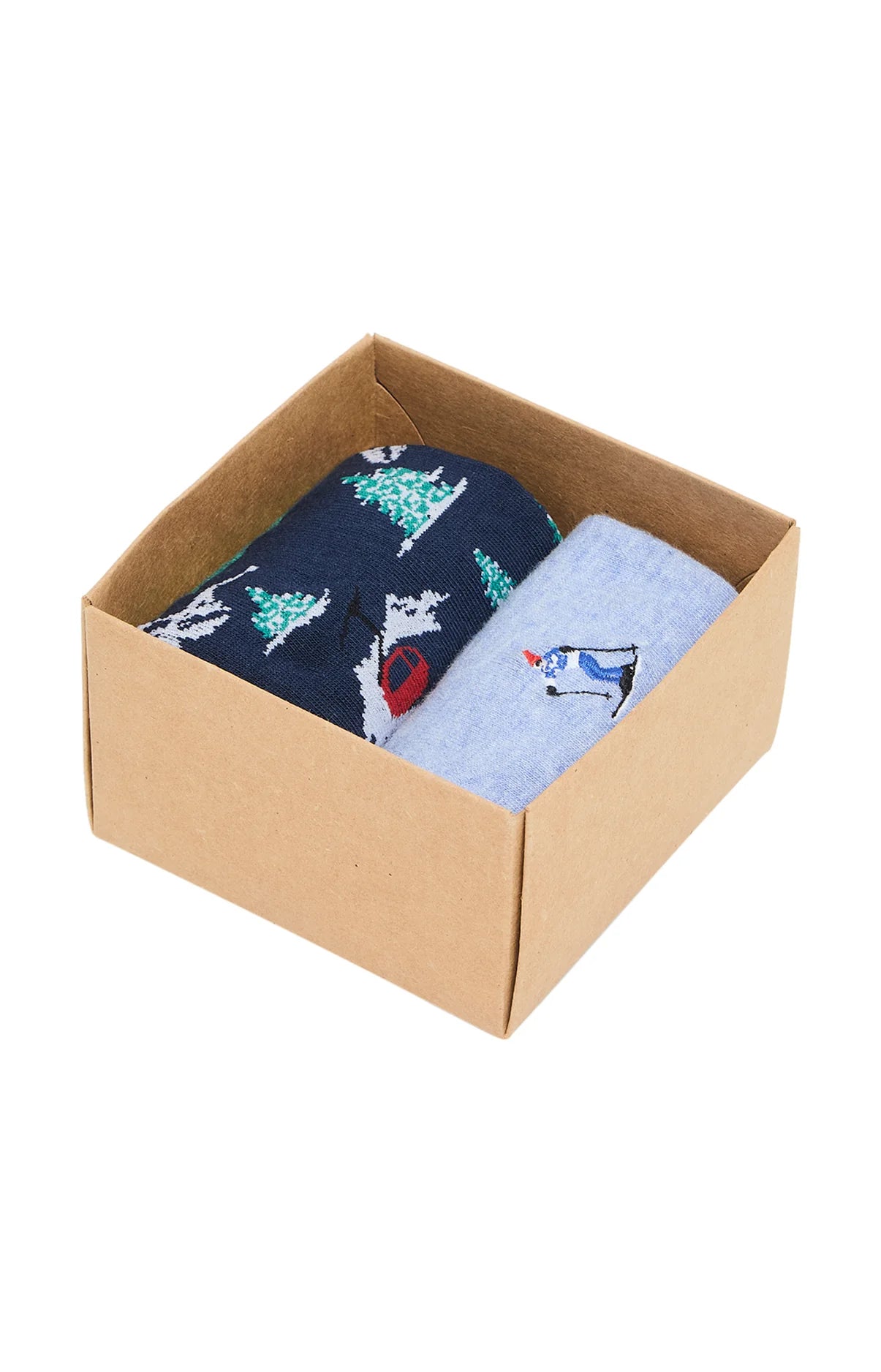 Coffret de 2 Chaussettes Arthur