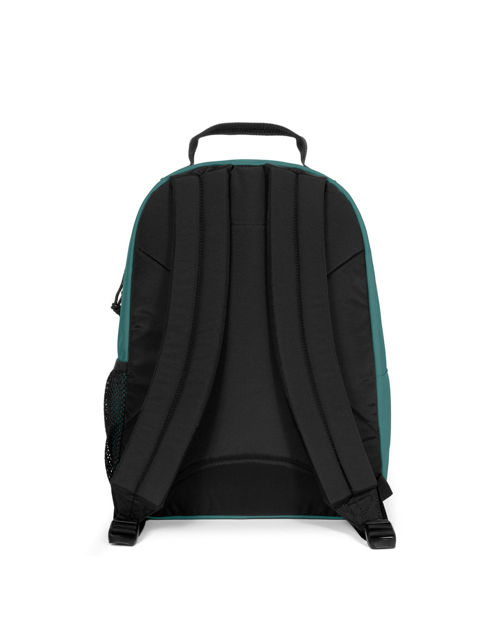 Morius Sea Bay Green