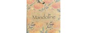 Mandoline